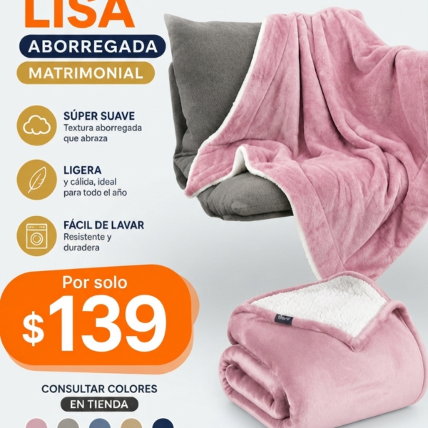 FAZADA ABORREGADA LISA