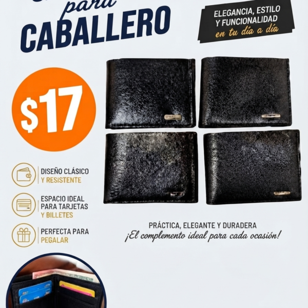 CARTERA CABALLERO