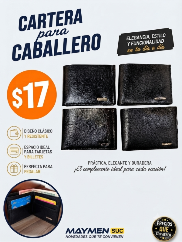 CARTERA CABALLERO