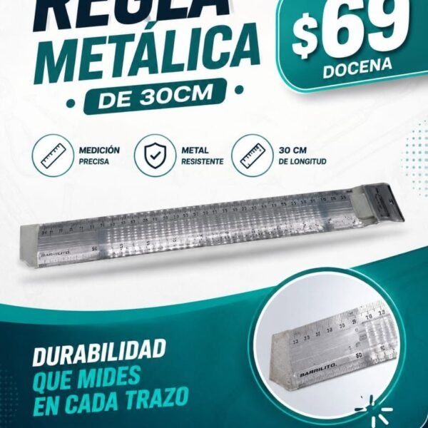 DOCENA REGLA METALICA AR613