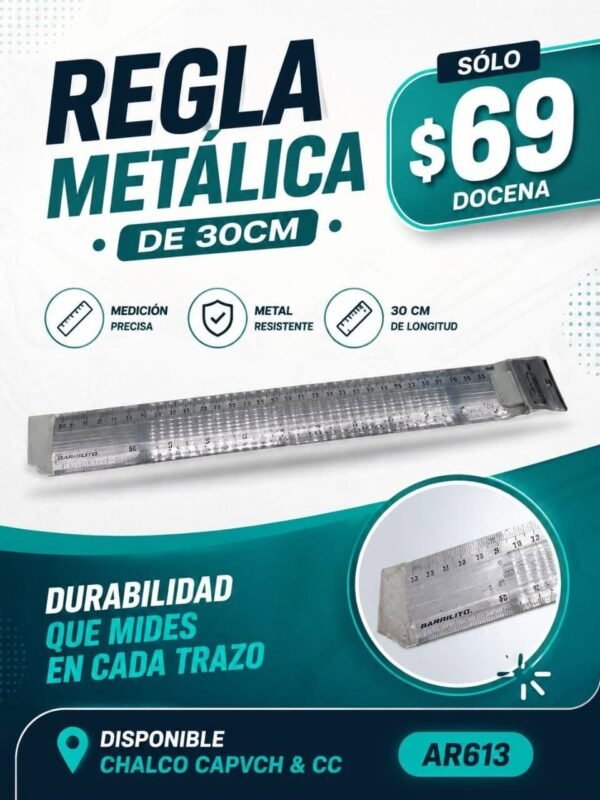 DOCENA REGLA METALICA AR613