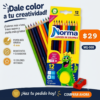 12 LAPICES COLORES NORMA