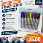 12 PLUMONES PERMANENTES